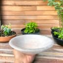 Steinfixx® Dekoschale Große Selenit Ladeschale Bowl Weiß Bild 5