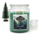 Candle Brothers Duftkerze Pine Forest Frischer Waldduft Grün Bild 1