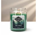 Candle Brothers Duftkerze Pine Forest Frischer Waldduft Grün Bild 3