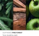 Candle Brothers Duftkerze Pine Forest Frischer Waldduft Grün Bild 4