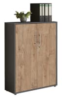 moebel-dich-auf Aktenschrank TABOR niedrig Anthrazit/Gold Harbor Oak Bild 2