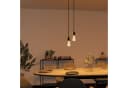 SSC-LUXon PARU Pendelleuchte 2-flammig Schwarz Retro Industrial Bild 1