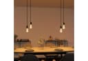 SSC-LUXon PARU Pendelleuchte 2-flammig Schwarz Retro Industrial Bild 4