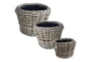 Van der Leeden Pflanzkorb Set 3tlg. Rattan Braun Bild 2