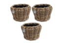 Van der Leeden Blumentopf Pflanzkorb Pflanzentreppe Rattan Korb Pflanzkübel 3 Stk Bild 2