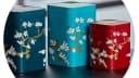 MediMuc Teedose 3er Set Japan Jade Weiß Lackiert Bild 1