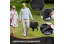 Royal Gourmet Tragbarer Holzkohlegrill Klappgrill Schwarz Bild 5