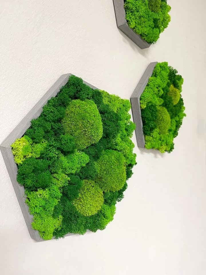 Wandbild aus Islandmoos, Ballenmoos und Holz