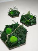 Gedankenwunder Manufaktur Moosbild Efeuwald Hexagon Grün Braun Handgefertigt Bild 1