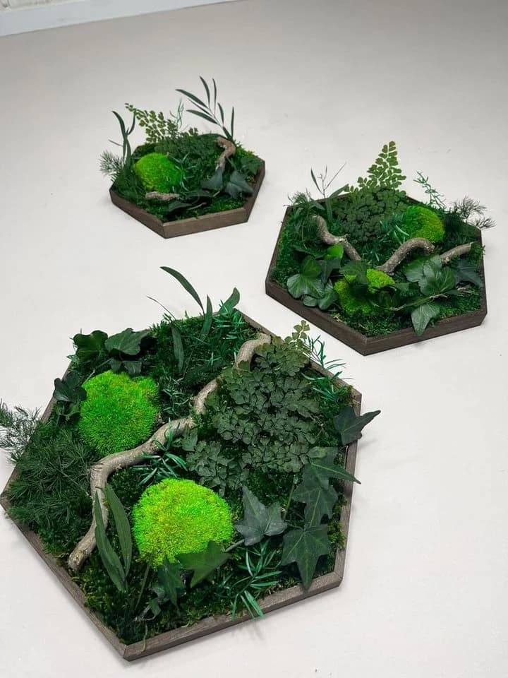 Gedankenwunder Manufaktur Moosbild Efeuwald Hexagon Grün Braun Handgefertigt