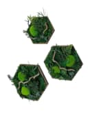 Gedankenwunder Manufaktur Moosbild Efeuwald Hexagon Grün Braun Handgefertigt Bild 2