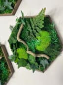 Gedankenwunder Manufaktur Moosbild Efeuwald Hexagon Grün Braun Handgefertigt Bild 5