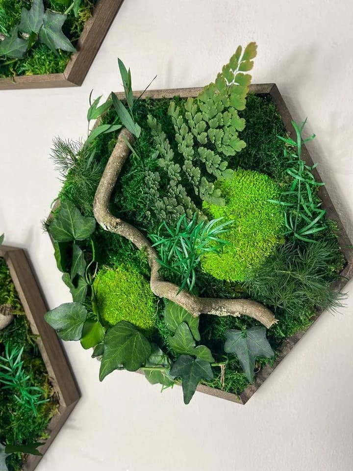 Gedankenwunder Manufaktur Moosbild Efeuwald Hexagon Grün Braun Handgefertigt - Bild 5
