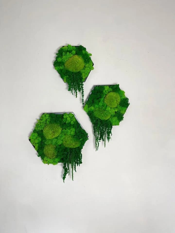 Gedankenwunder Manufaktur Moosbild Island Ranke Hexagon Sechseck Wabe