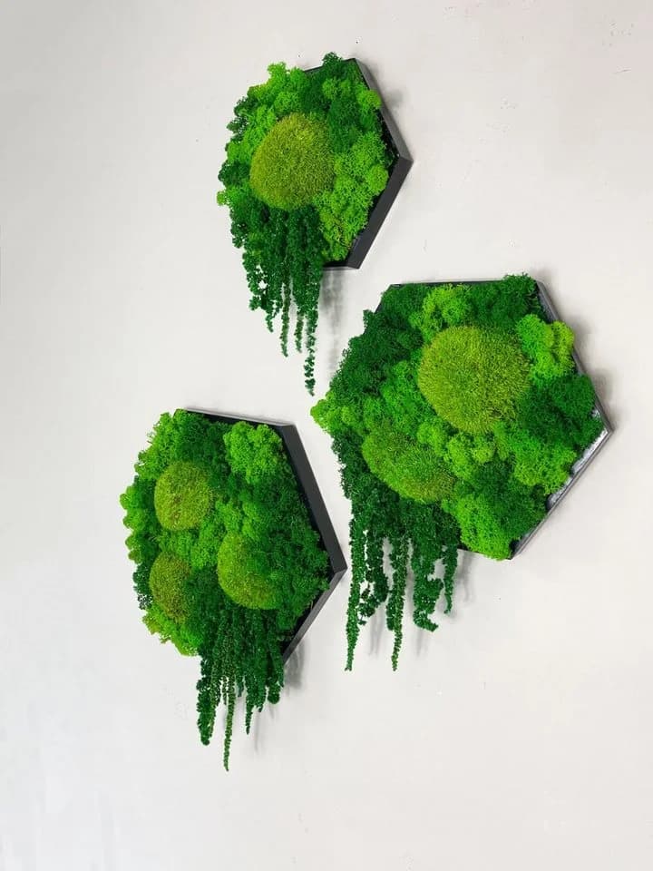 Gedankenwunder Manufaktur Moosbild Island Ranke Hexagon Sechseck Wabe - Bild 3