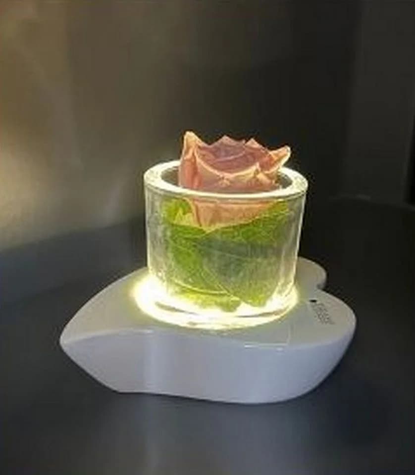 TIZIANO LED Windlicht Herzform Creme-Weiß Dekolicht - Bild 3