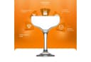 LAV Misket Champagnergläser 6-tlg. Glas Transparent Coupe Bild 5