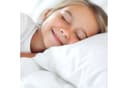 Gentle North Kinderkopfkissen 40x60 cm Baumwolle Polyester Bild 1