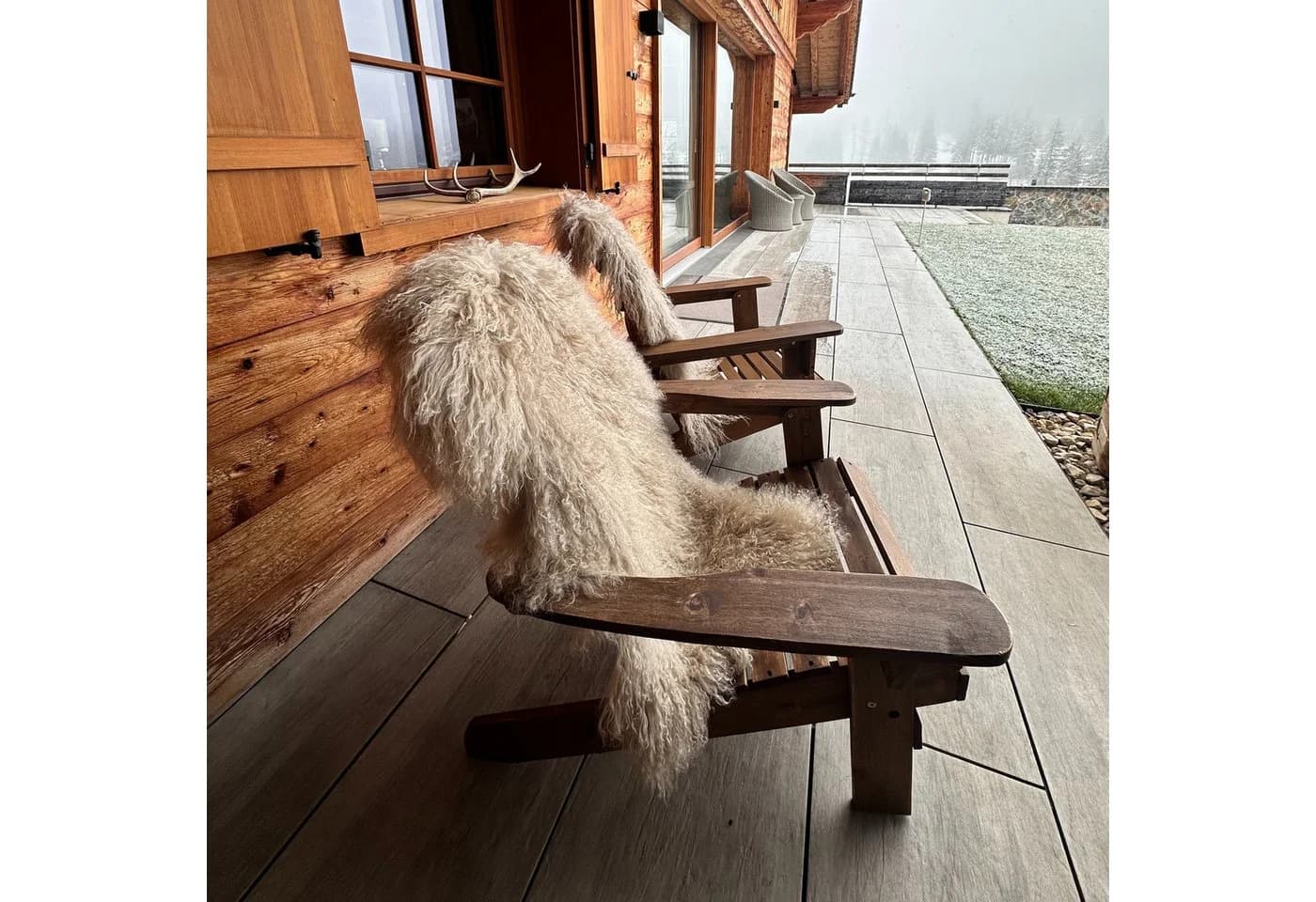 LIRA Deko Tibet Lammfell Teppich Läufer Waschbar Beige Grau Weiss - Bild 5