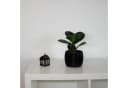Shapes Blumentopf mit Unterteller Spiraloptik Bild 1
