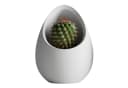 Shapes - Decorations Blumentopf Nuvia Planter Two-Tone Design Weiß Bild 2