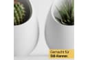 Shapes - Decorations Blumentopf Nuvia Planter Two-Tone Design Weiß Bild 3