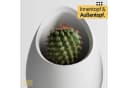 Shapes - Decorations Blumentopf Nuvia Planter Two-Tone Design Weiß Bild 5