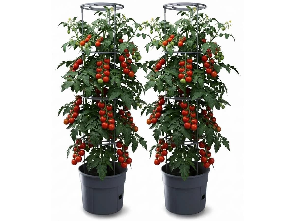 Prosperplast Anzuchttopf Tomaten Grau Kunststoff 39,2 cm - Bild 2