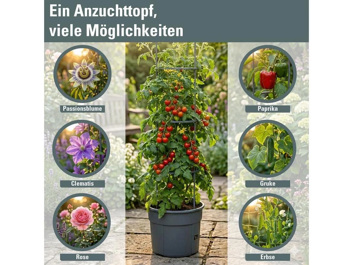 Prosperplast Anzuchttopf Tomaten Grau Kunststoff 39,2 cm - Bild 3