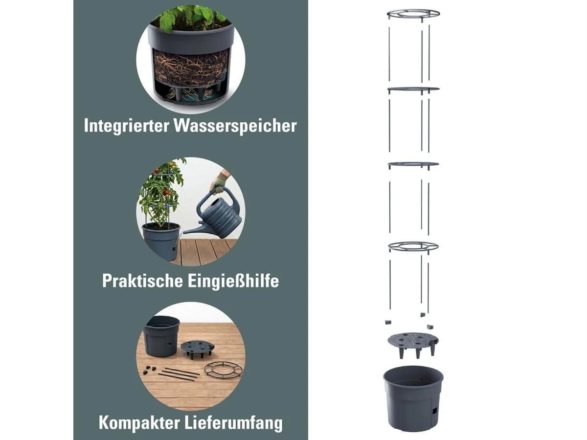Prosperplast Anzuchttopf Tomaten Grau Kunststoff 39,2 cm - Bild 4