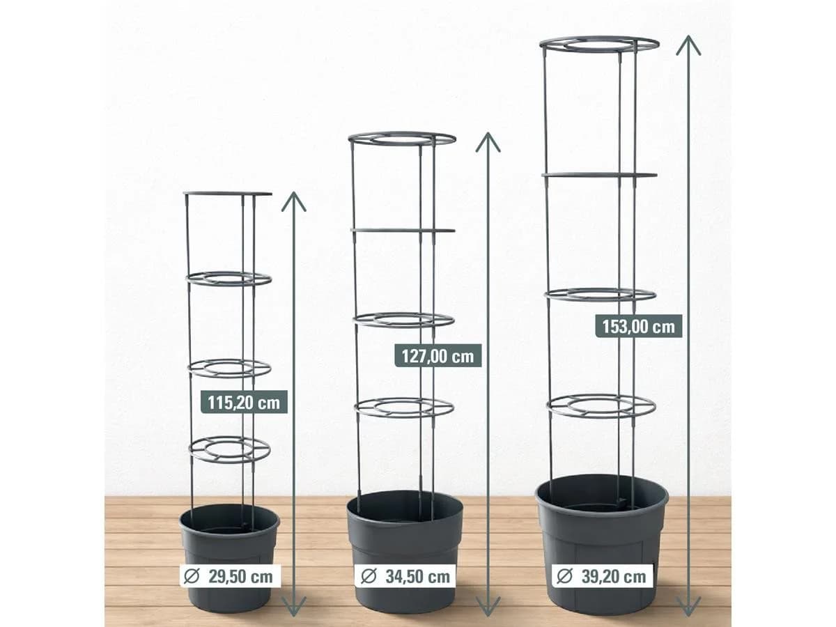 Prosperplast Anzuchttopf Tomaten Grau Kunststoff 39,2 cm - Bild 5