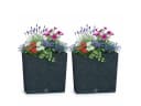 Prosperplast Blumenkasten 2x Furu DFC600T Anthrazit Rillenoptik Bild 2