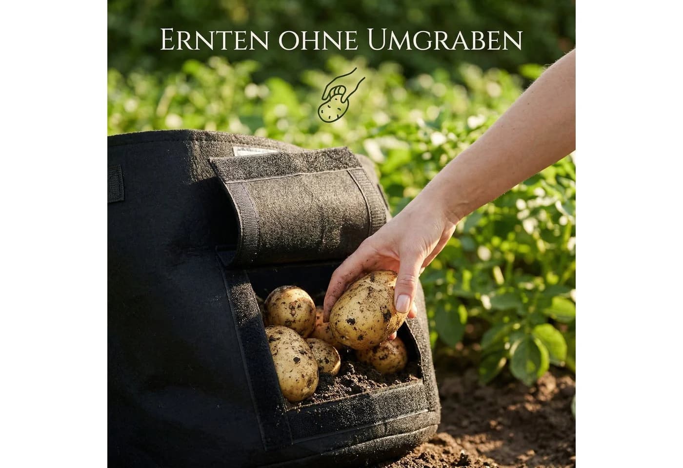 Onbest Pflanzsack Set 30 Liter mit Sichtfenster Schwarz - Bild 4