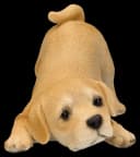 Figuren Shop GmbH Hundefigur Labrador Welpe Bunt Polyresin Bild 3