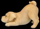 Figuren Shop GmbH Hundefigur Labrador Welpe Bunt Polyresin Bild 4