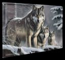 Figuren Shop GmbH Metallschild Blechschild Wolfsrudel im Winterwald Wandschild Wolf Fantasy Bild 1
