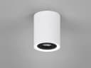 TRIO Leuchten LED Deckenstrahler Dimmfunktion Warmweiß Aufbau-Spot Aufputz Strahler Innen Lichtspot Weiß-Schwarz Bild 5