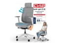 Ergotopia Bürostuhl PureBack Ergonomischer Schreibtischstuhl mit Kopfstütze Bild 2