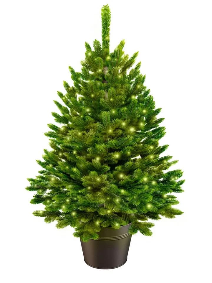 ArtiTree Künstlicher Weihnachtsbaum Nordfichte im Topf PE-Spritzguss - Bild 2