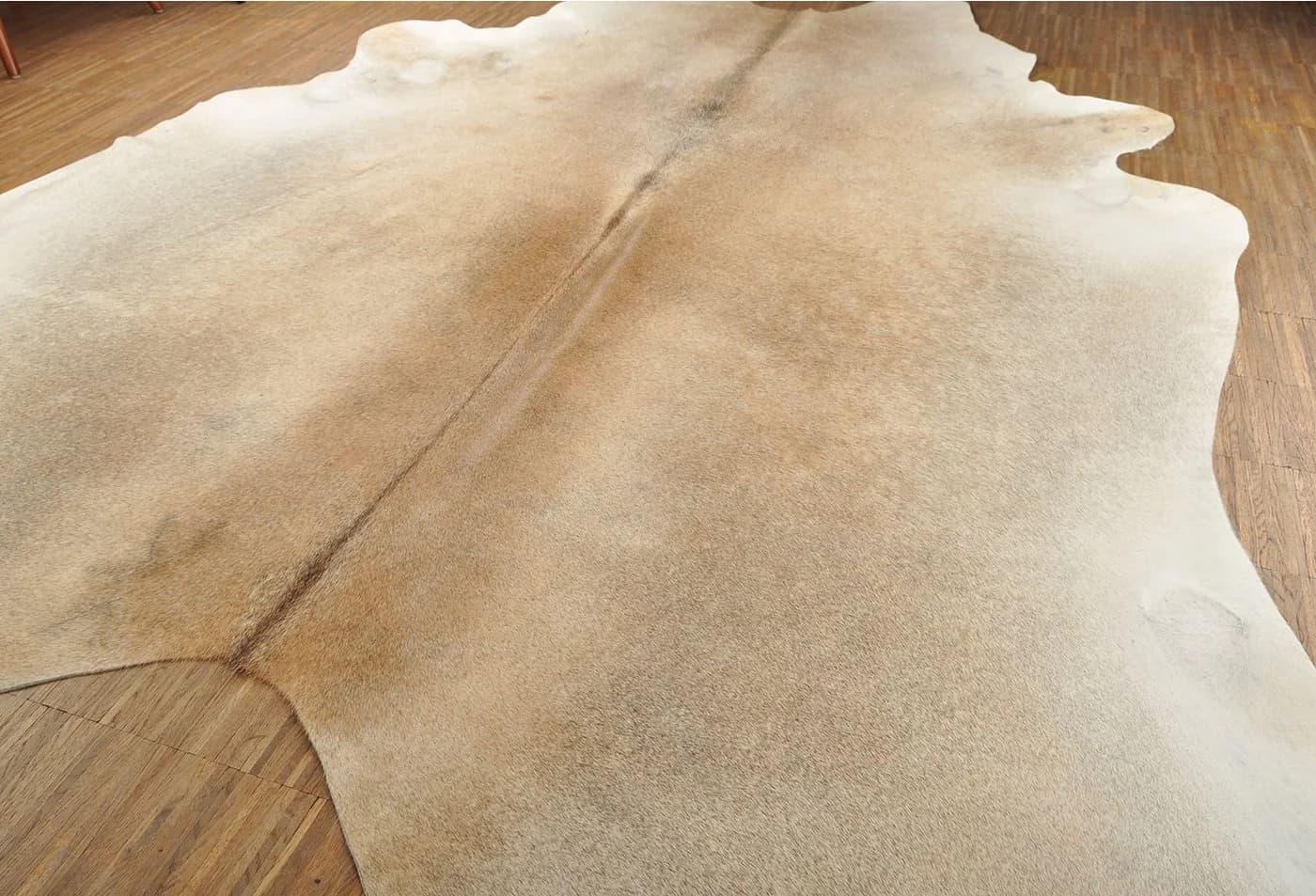 KUHFELL online & NOMAD Fellteppich Rinderfell Beige Grau XXL - Bild 3