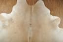 KUHFELL online & NOMAD Fellteppich Rinderfell Beige Grau XXL Bild 5
