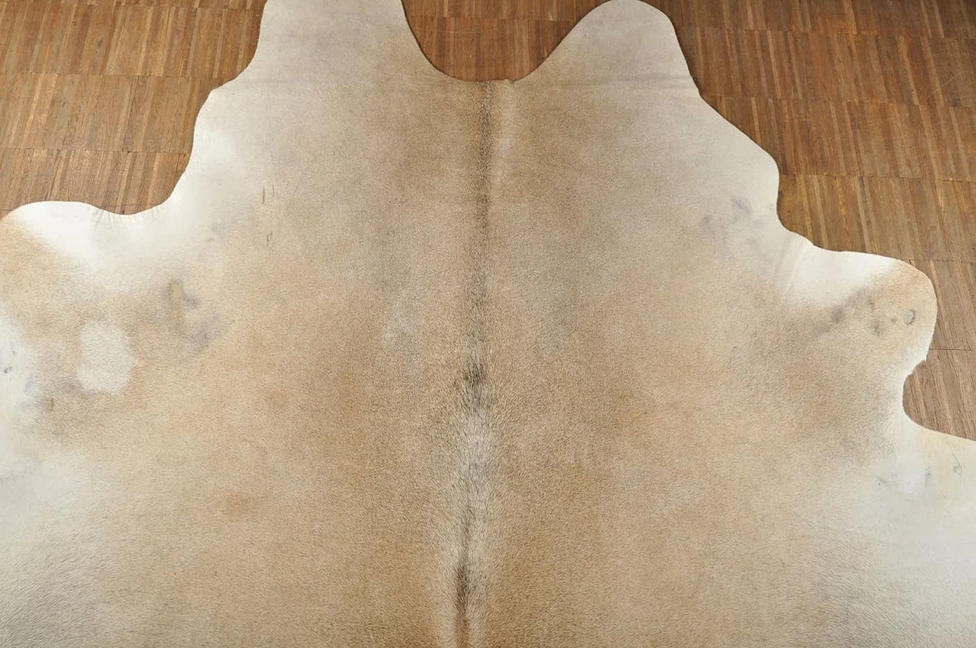 KUHFELL online & NOMAD Fellteppich Rinderfell Beige Grau XXL - Bild 5