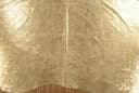 KUHFELL online & NOMAD Fellteppich Kuhfell Devoré Gold 220x190 cm Bild 3