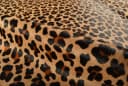 KUHFELL online & NOMAD Fellteppich Leoparden-Optik Braun Schwarz Beige Bild 5