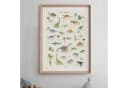 Designforlittleones Poster Dinosaurier ABC Poster Bunt Bild 1