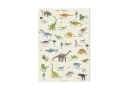 Designforlittleones Poster Dinosaurier ABC Poster Bunt Bild 2