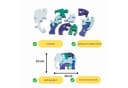 GICO Steckpuzzle Holzpuzzle Elefant mit Zahlen von 1 bis 10 Bild 1