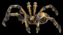 Figuren Shop GmbH Dekofigur Steampunk Spinne Bild 4