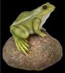 Figuren Shop GmbH Gartenfigur Frosch auf Stein Deko Bild 1