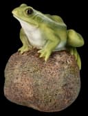 Figuren Shop GmbH Gartenfigur Frosch auf Stein Deko Bild 4
